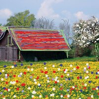 Picking Flowers - Peter Bento
