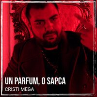 Un Parfum, O Sapca - Cristi Mega