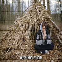 Обрести силу мысли - Meditation Relax Club