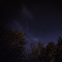 Flos Vitae - Human Is Alive