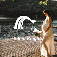 White Noise Womb Light Sleep - Silent Knights & Dylan Barnes & Rob Davy & Mark Dowling