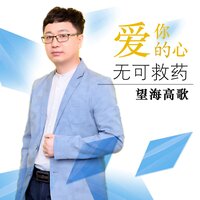 爱你的心无可救药 - 望海高歌