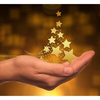 Polar Bear Picnic - Meditation Spa Society