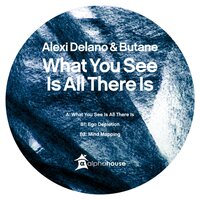 Mind Mapping - Alexi Delano & Butane