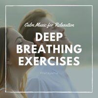 Best Relaxing Music Therapy - China Relaxing Time