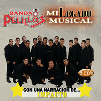 Fiesta - Banda Pelillos