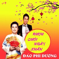 Cát Bụi Cuộc Đời (Bản Phối Mới) - Short Version 1 - Đào Phi Dương