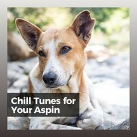 Warm Doggy - Music for Leaving Dogs Home Alone