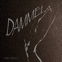 DAMMELA - Fabio Cobelli