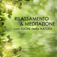 Armonia e Serenità - Relax, Rilassamento, Wellness e Musica