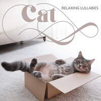 Relaxing Nature Sounds - Relaxing music & Relaxation Academy