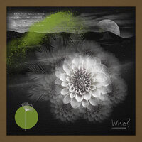 Who - Haze-M & DJ Chus & Rosewall & Tosz