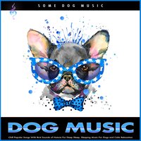 Somebody To Love - Some Dog Music & Pet Care Club & Dog Music Dreams