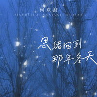 思绪回到那年冬天 - 何欢浪