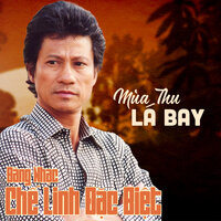 Ngày Vui Qua Mau - Chế Linh