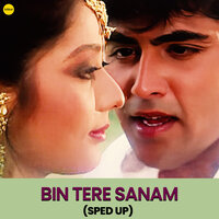Bin Tere Sanam - Udit Narayan & Kavita Krishnamurthy