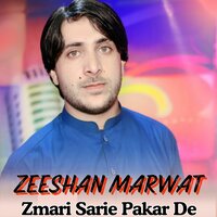 Zmari Sarie Pakar De - Zeeshan Marwat