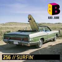 Vintage King - Micky Wolf & Black Is Blonde