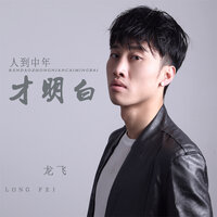 人到中年才明白 - 龙飞