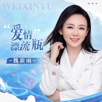 爱情漂流瓶 - 魏新雨 & 沈念