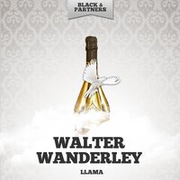 Tu Y Yo - Walter Wanderley