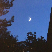 Take Me - Mvntis & Shiloh Dynasty