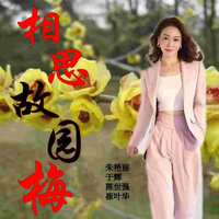 相思故园梅 - 崔叶华