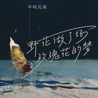 野花做了场玫瑰花的梦 - 半吨兄弟 & 于子将 & 沈念