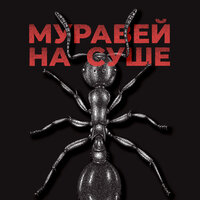 Муравей на суше - KRBK