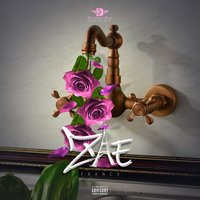 T.L.C - Zae France