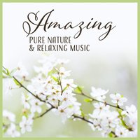 Positive Nature Song - Hypnosis Nature Sounds Universe