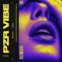 Pzr Vibe - Qontrast & ANDRO