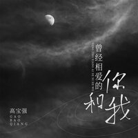 曾经相爱的你和我 - 高宝强