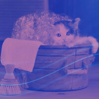 Background for Home Cats - Cat Music Experience