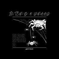 Black Spider 2 - Inter B & Draad