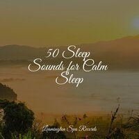 Ocean Wave Massage - Spa & Musica Relaxante & Pro Sounds of Nature