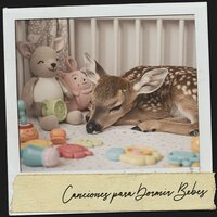 Ethereal Whispers - Cat Music Therapy & Sleeping Music & Focus Chamber