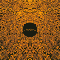 Return to Air - Bonobo