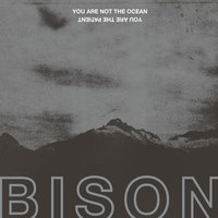 Kenopsia - Bison