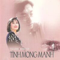 Tình mong manh - Đình Văn