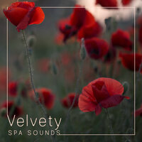 Nature Beautiful Song - Relaxed Piano Music & Spa, Relaxation and Dreams