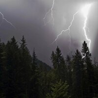 Гроза в Кроне Деревьев - Aerosound & Звуки сна Окружающие Шумы