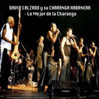 Se Puede - David Calzado y Su Charanga Habanera & David Calzado