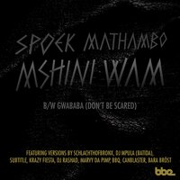 Gwababa (Don't Be Scared) - Spoek Mathambo & Avuyile Tosa & Yolanda Fyrus Xashi