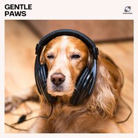 Calming Music for Dogs - Pet Music & Music For Pets & Relax My Puppy & Calm Pet Music