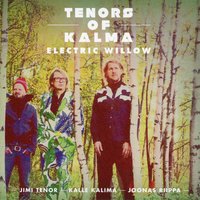 Go-Go-Go - Jimi Tenor & Tenors of Kalma with Kalle Kalima & Joonas Riippa & Jimi Tenor & Tenors of Kalma & Kalle Kalima & Joonas Riippa