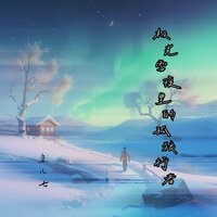 极光雪夜里的孤狼行者 - 鱼儿七
