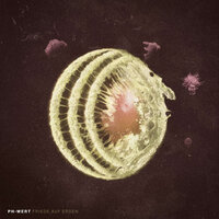 Friede Auf Erden - PH-Wert & POSTPARTUM.