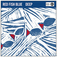 An Angel Fell From The Sky - Simon Barker & Sam Keevers & Javier Fredes & Brett Hirst & Red Fish Blue