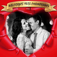 Vida Consentida - Fernando Villalona